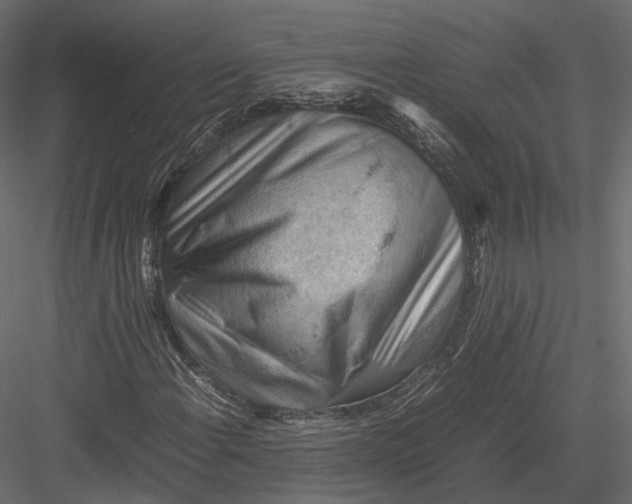 X0000082991108200702230052