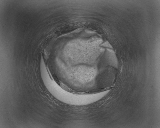 X0000082991109200702230052