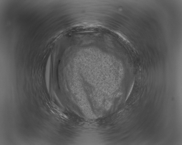 X0000082991110200702230052