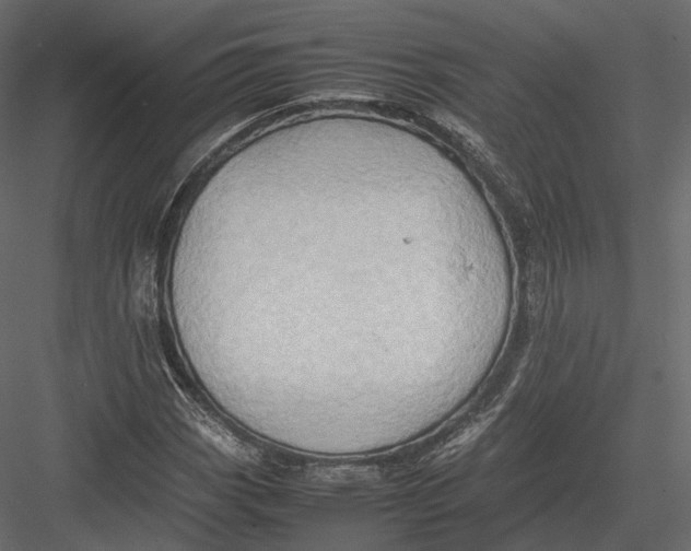 X0000082991113200702230052