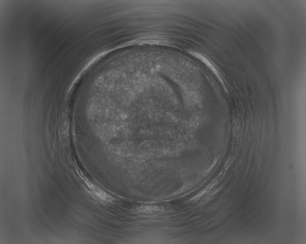 X0000082991115200702230053