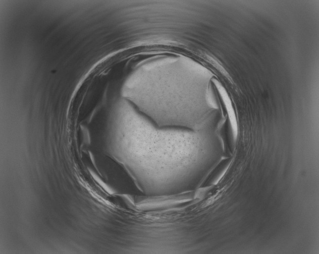 X0000082991116200702230053