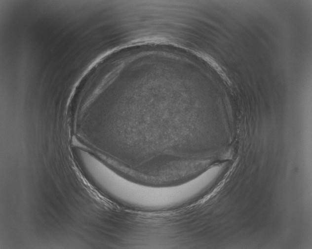 X0000082991118200702230053