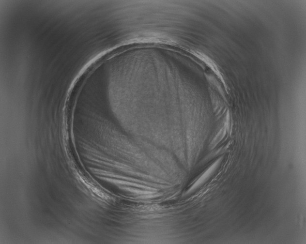 X0000082991120200702230053