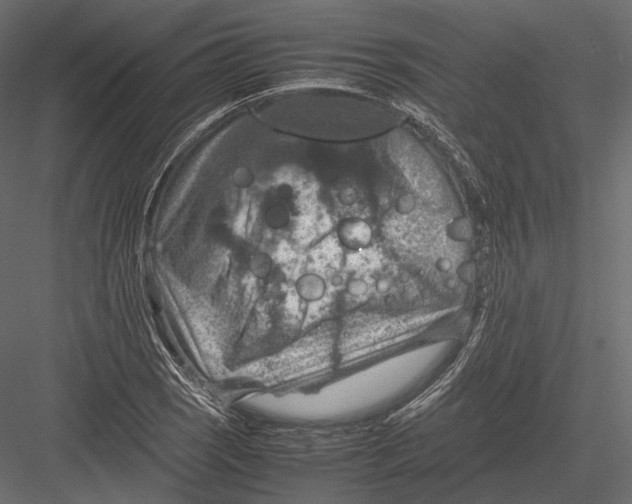 X0000082991121200702230053