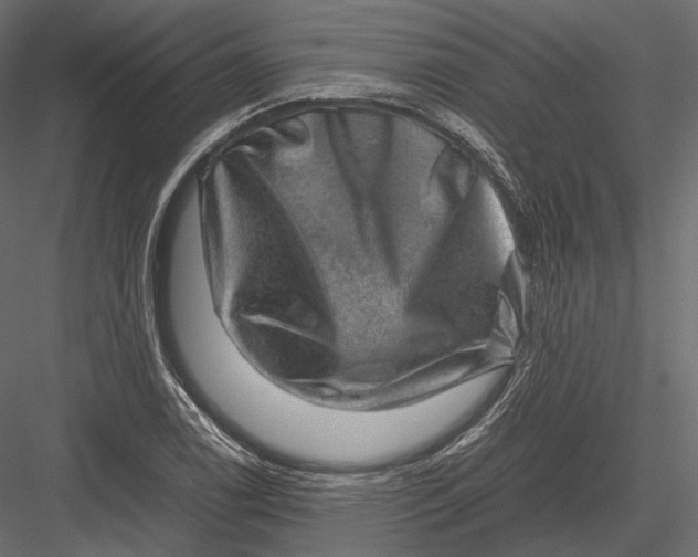 X0000082991122200702230053