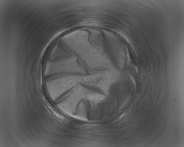 X0000082991123200702230053