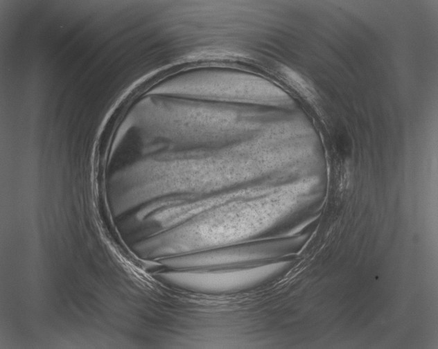 X0000082991124200702230053