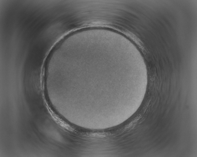 X0000082991126200702230053