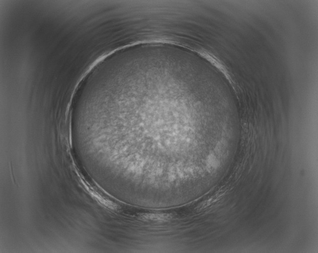 X0000082991127200702230053