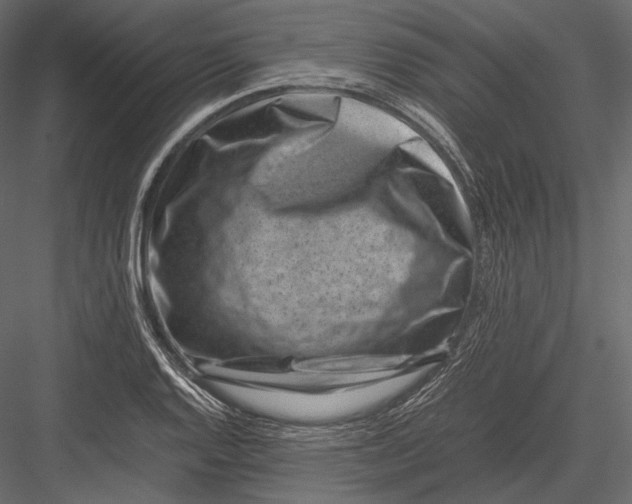 X0000082991128200702230053