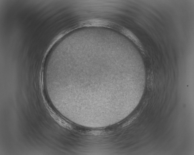 X0000082991130200702230053