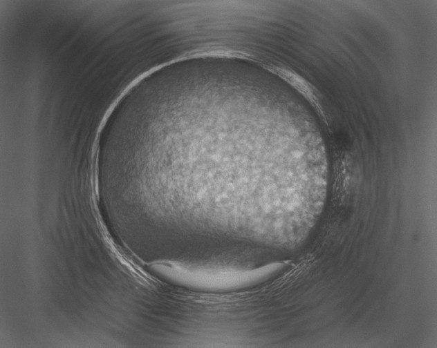 X0000082991132200702230053