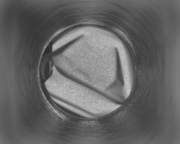 X0000082991133200702230053