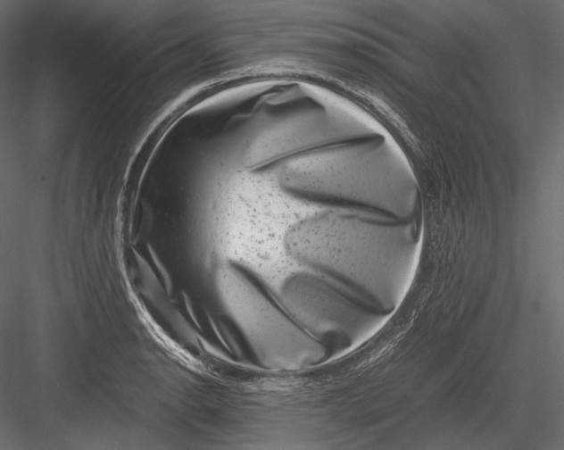 X0000082991134200702230053