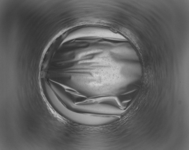 X0000082991136200702230053