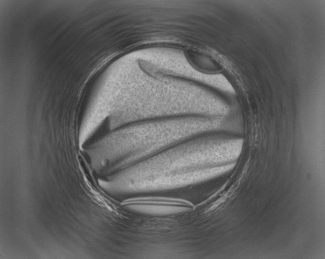 X0000082991137200702230053