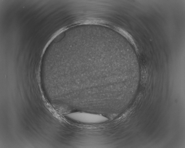 X0000082991138200702230053