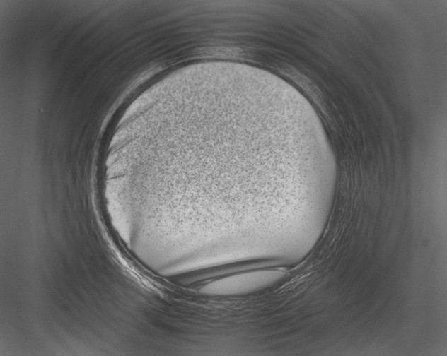 X0000082991139200702230053