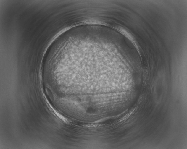 X0000082991141200702230053