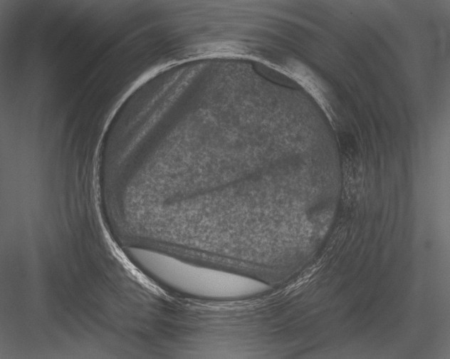 X0000082991142200702230053