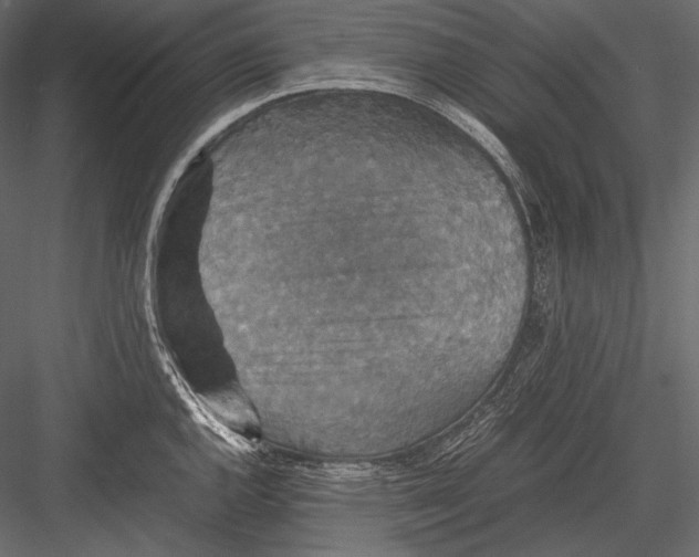 X0000082991144200702230053