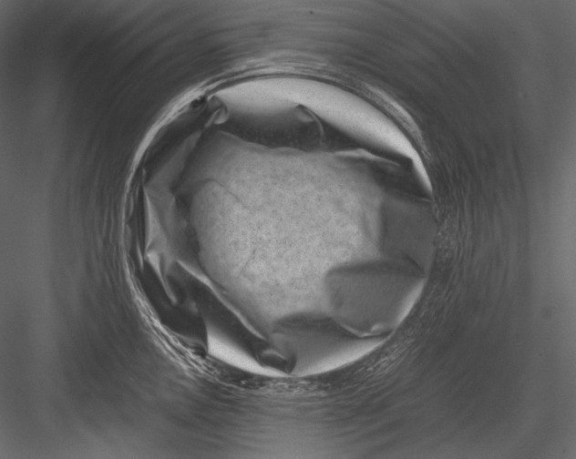 X0000082991146200702230053