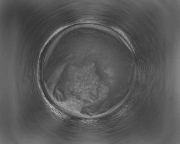 X0000082991147200702230053