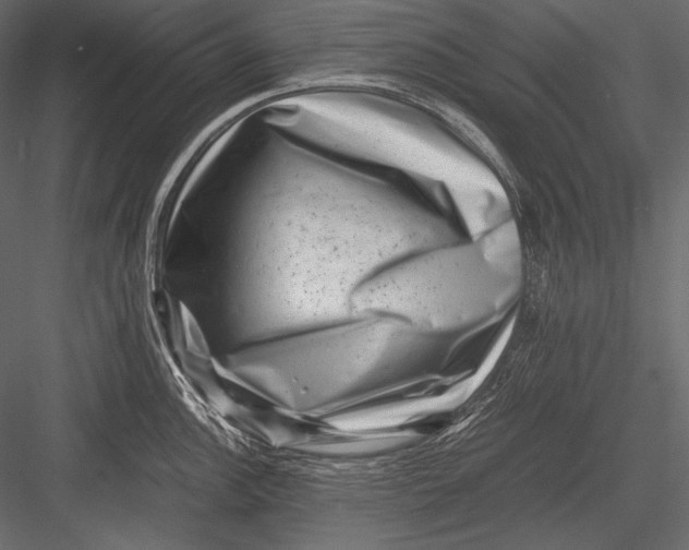 X0000082991148200702230053