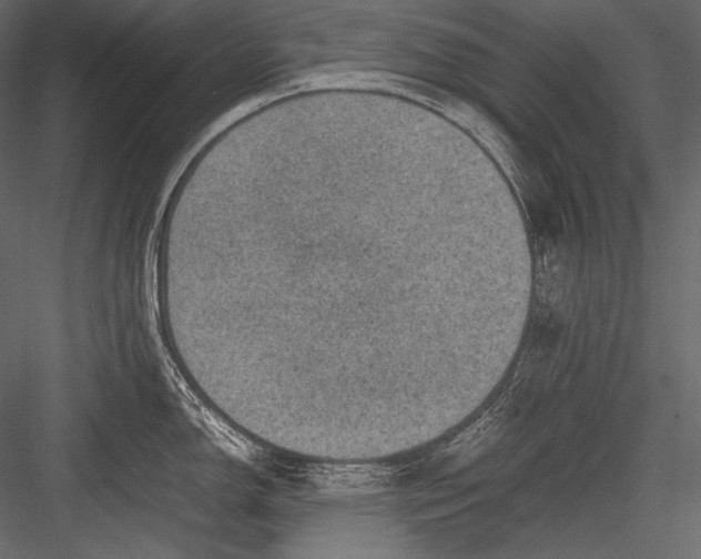 X0000082991150200702230053