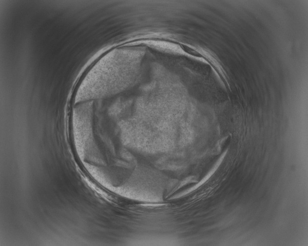 X0000082991151200702230053