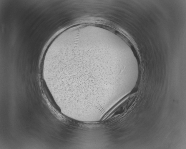 X0000082991152200702230053