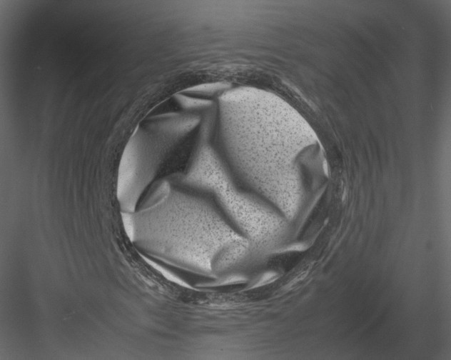 X0000082991153200702230052