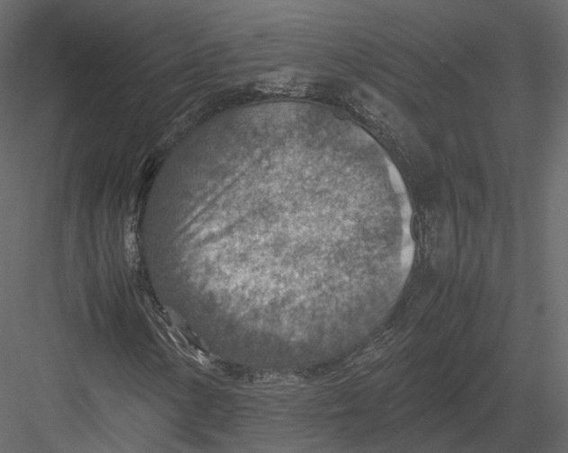 X0000082991154200702230052