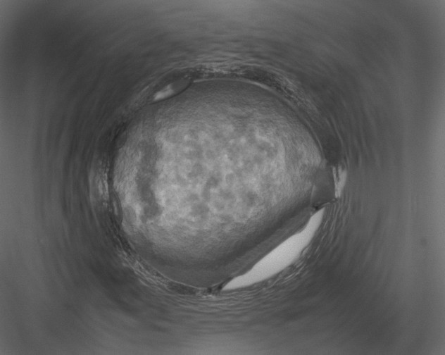 X0000082991155200702230052