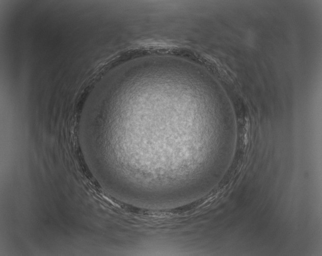 X0000082991157200702230052