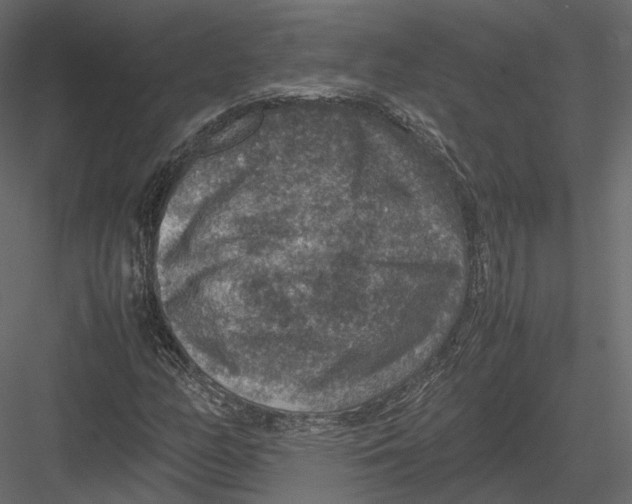 X0000082991158200702230052