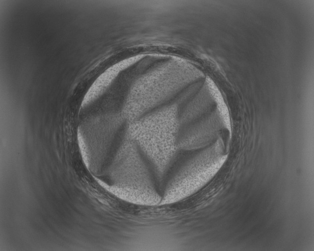 X0000082991159200702230052