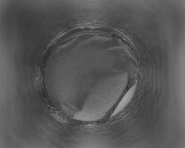 X0000082991160200702230052