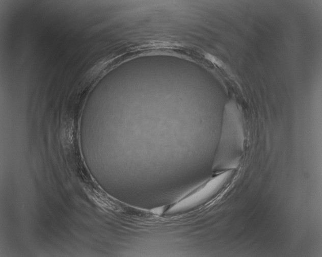 X0000082991161200702230052