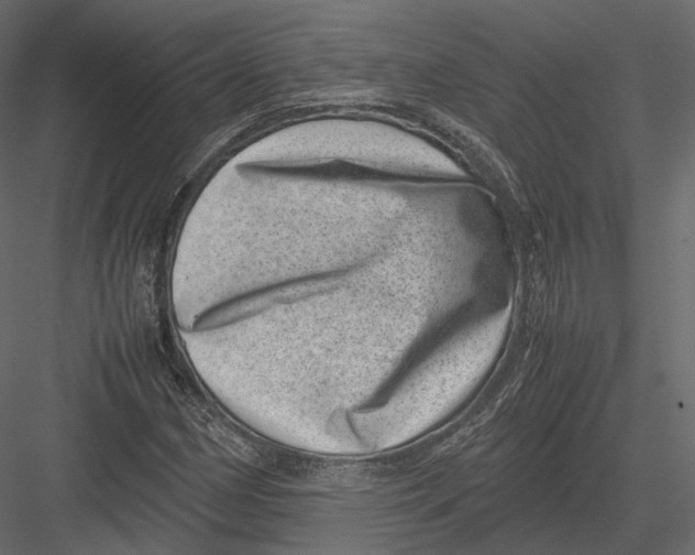 X0000082991162200702230052