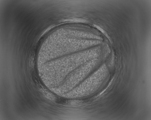 X0000082991163200702230052