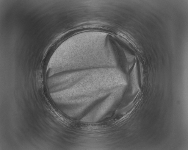 X0000082991164200702230052