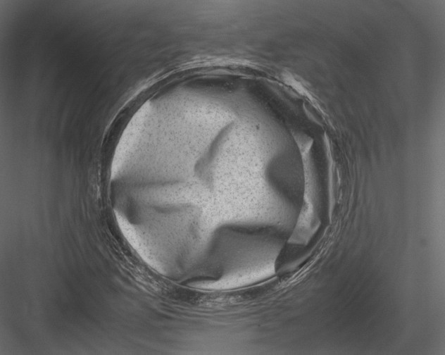 X0000082991165200702230052