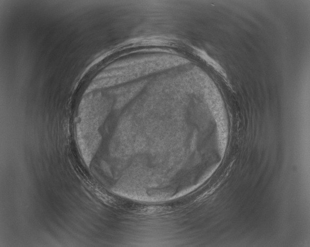 X0000082991166200702230052