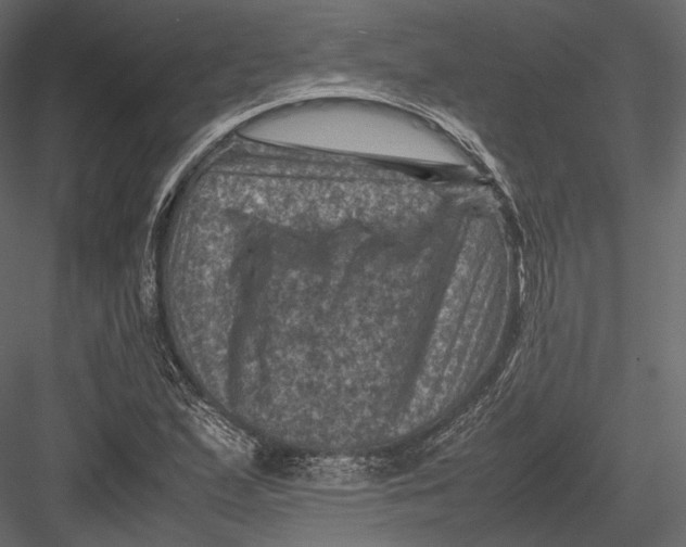 X0000082991167200702230052