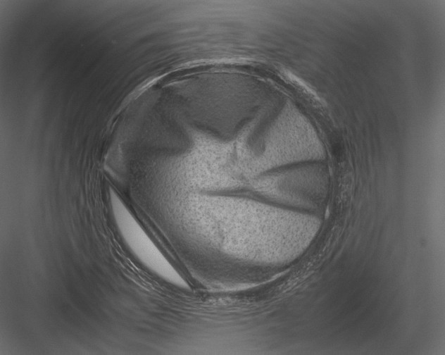 X0000082991169200702230052