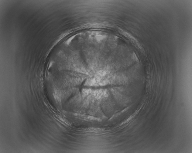 X0000082991170200702230052