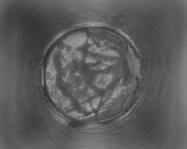 X0000082991171200702230052