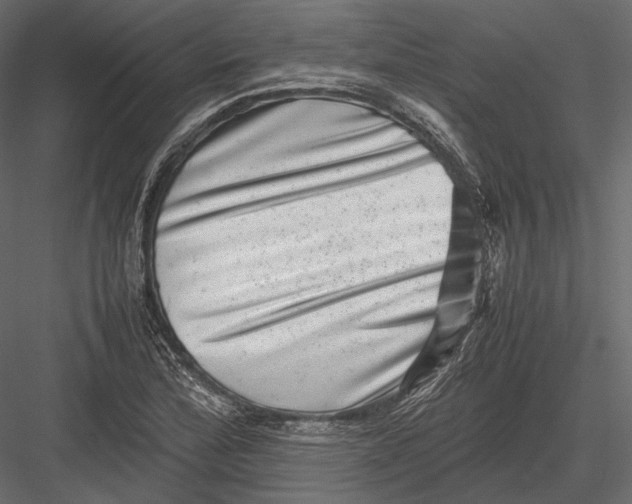 X0000082991172200702230052